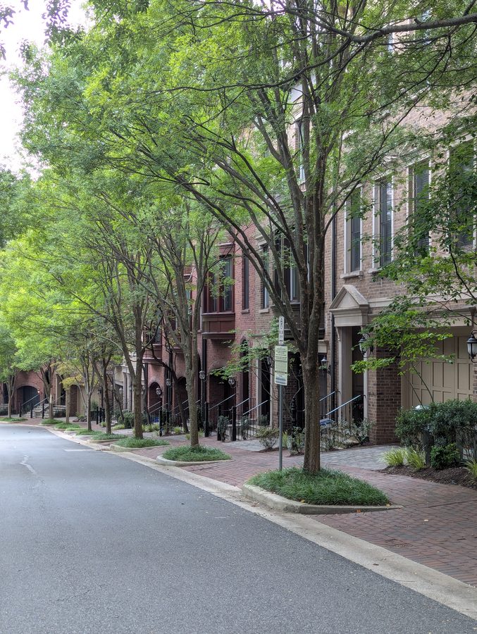 Tree-lined brownstone street